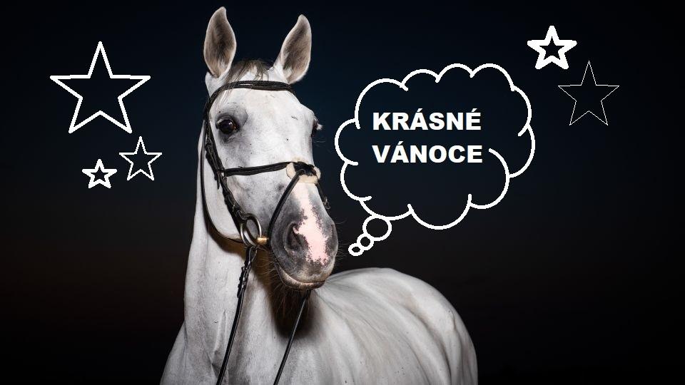 Rodina EQUINET Vám přeje mj. za Jezdci.cz a EquiTV krásné Vánoce 2019