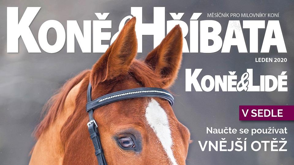Lednoví Koně a hříbata prozradí nový název a směr časopisu v roce 2020