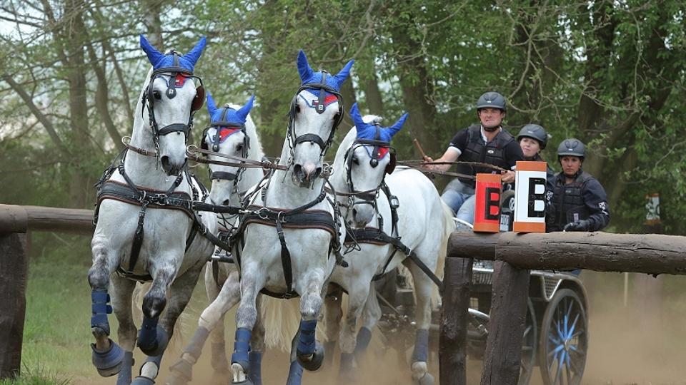 Vozataje čekají čtyři šampionáty FEI. Závodit o tituly budou i děti