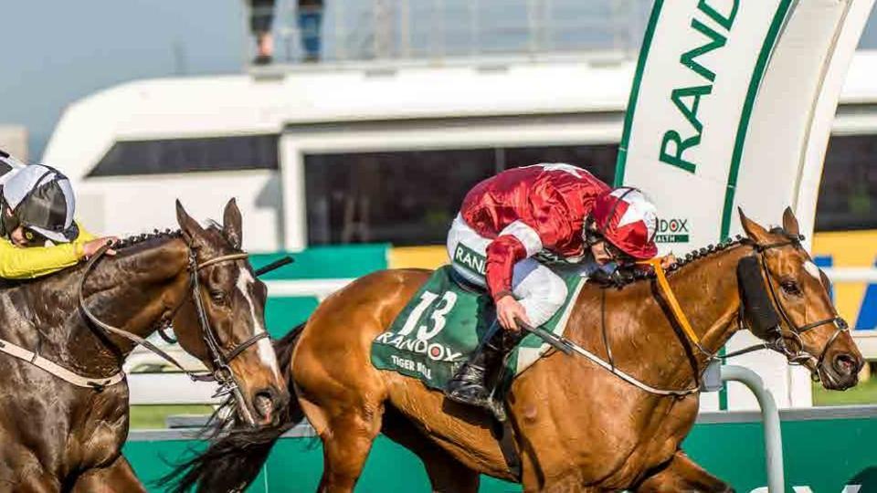 Naděje na hattrick trvá. Tiger Roll byl přihlášen do Velké národní