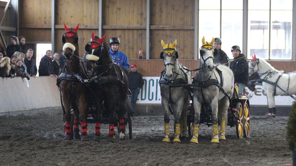 Equinews: Spřežení zahájila Zimní pohár ČJF. TOP všestrannost v Borové