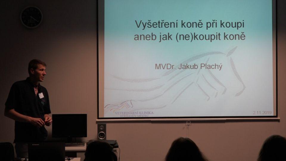 Vyšetření při koupi koně: Standardní, ale také velmi podceňovaná praxe