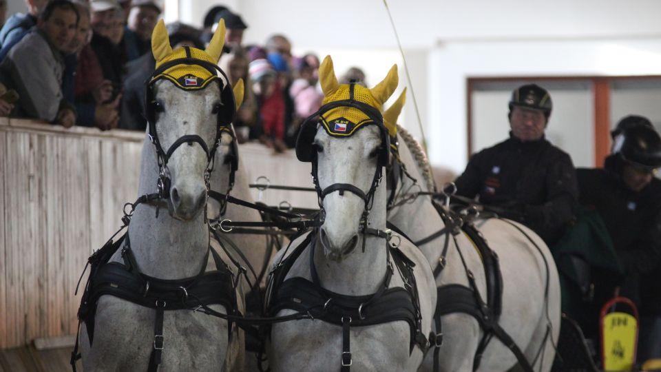 Equinews: Konec snu o Tokiu i velká radost. Vozatajové nadchli Brno