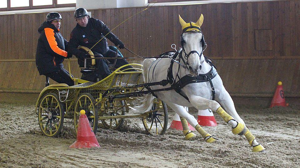 Do finále Zimního poháru už může 42 spřežení. Domes jako jistý lídr