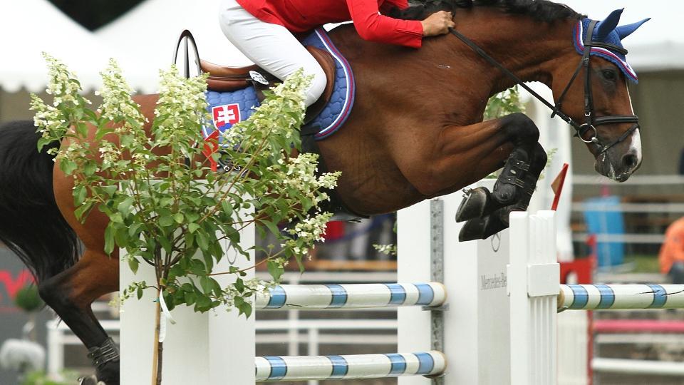 Na Slovensku se na dva týdny ruší jezdecké závody i další veřejné akce