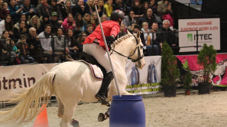 Lysá hledá pro Jaro s koňmi nový termín. Přípravy For Horse pokračují
