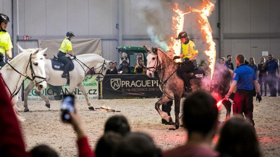 Přípravy veletrhu For Horse jsou pozastaveny. Hledá se nový termín
