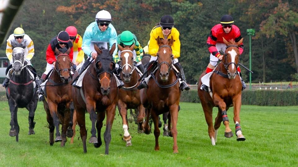 Svědectví z Cheltenhamu: Druhý den festivalu jsme už měli příznaky