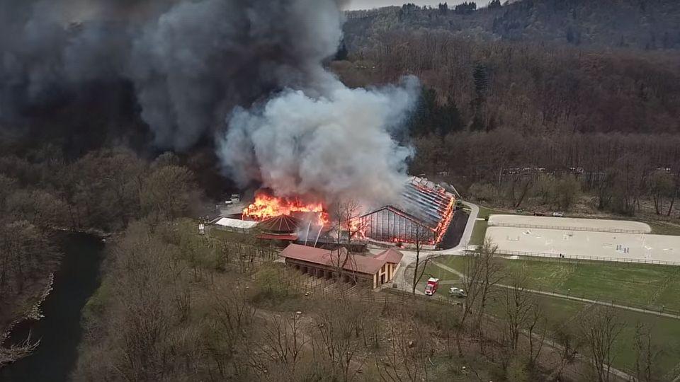 Tragický požár v rakouských stájích. V areálu uhořelo devět koní
