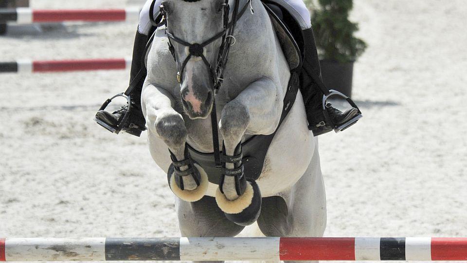 Od 7. dubna na koni opět bez roušky. Individuální sportování povoleno