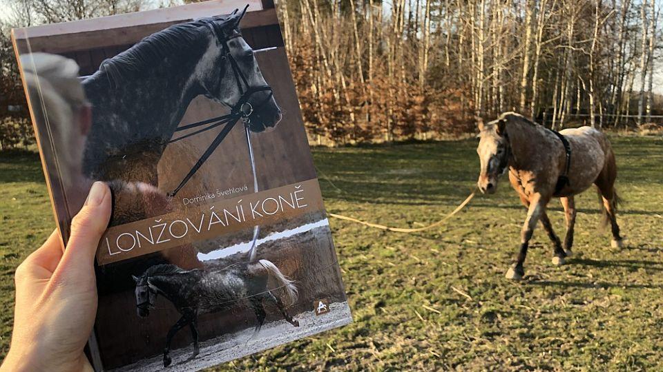Recenze: Bezmála čtyřsetstránková publikace o lonžování není nesmysl