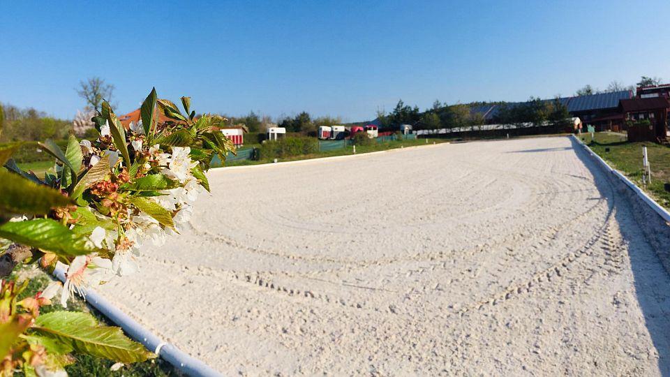 Panská lícha rozkvetla. Zajet si tam můžete na drezuru, parkur i kros