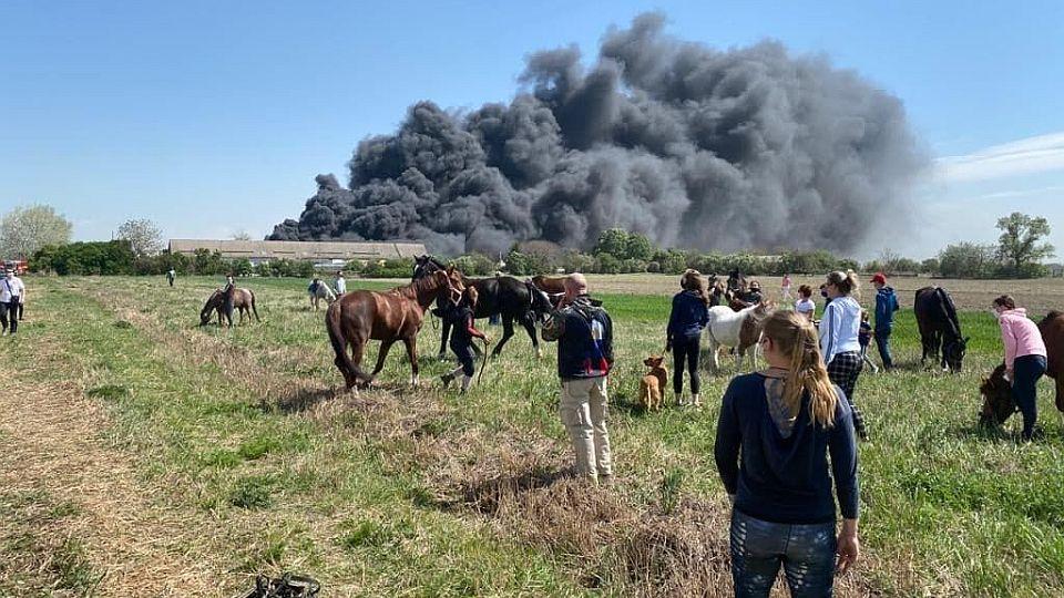 V bratislavské Vrakuni zachvátil požár stáje. Koně jsou prý v pořádku
