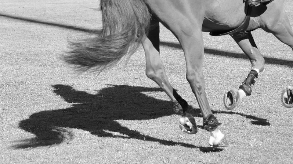 Longines Global Champions Tour potvrzuje partnerství s Tennor Group