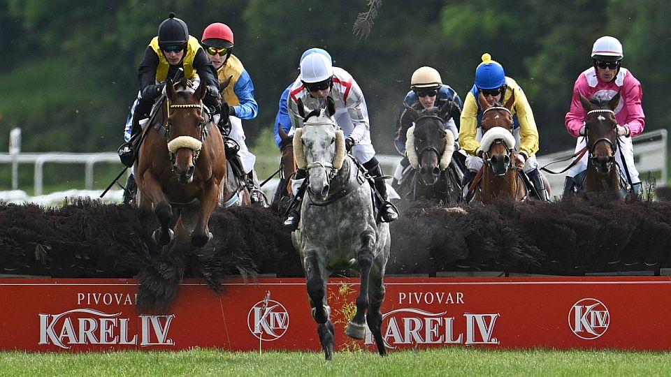 Equinews: Steeplechase ve Varech. Olomoucké drezury vyhrál Knoflíček