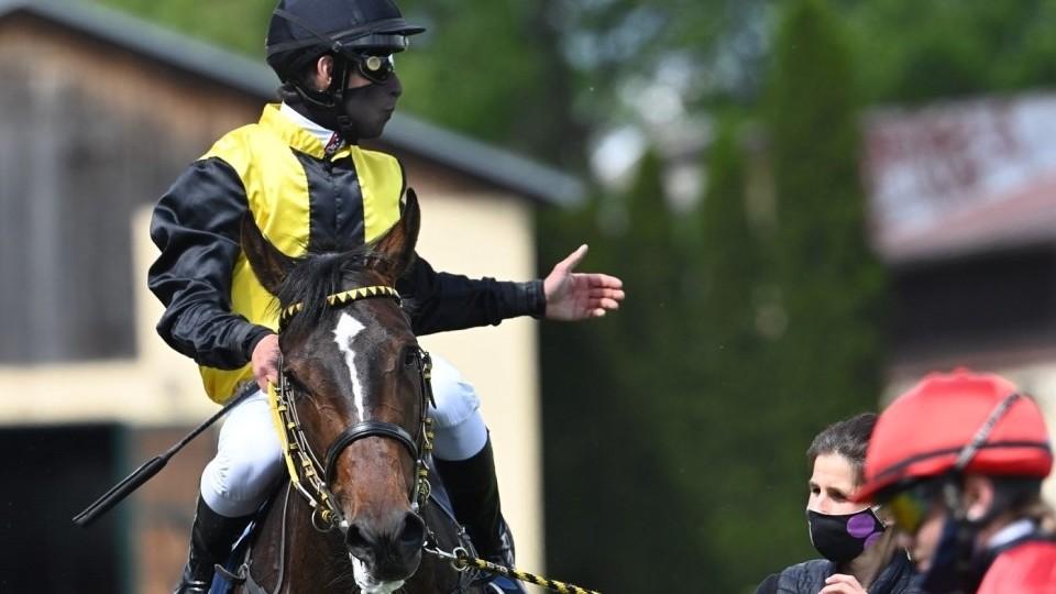 Dostihové novinky: Shamalann má ambice, dráha v Mostě a Dettori