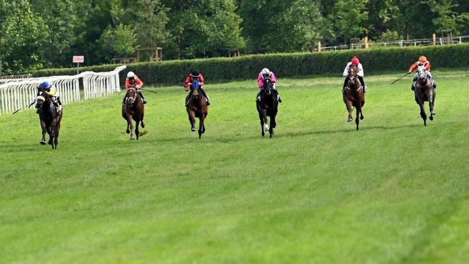 Equinews: Dva dny, sedmnáct dostihů. Chuchle zažila maratonský víkend
