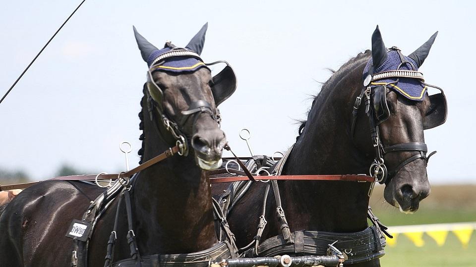 Mencke a Hábová zářily ve Zduchovicích, Kurka a Soukup v Čakovičkách
