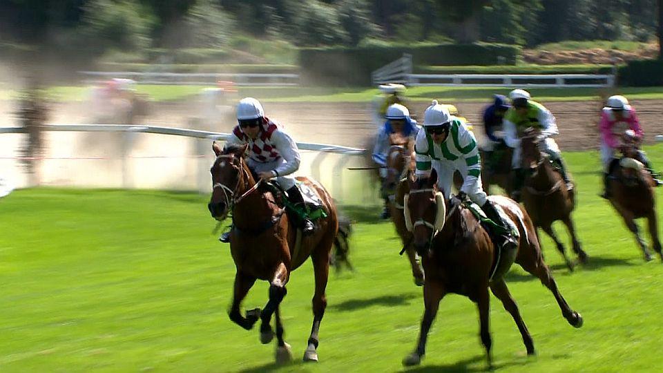 Equinews: Vítěz Velké pardubické Theophilos ovládl první kvalifikaci