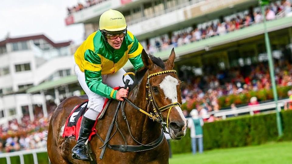 Equinews: Víkend zkušených borců. Ange Guardian i Black Canyon zářili