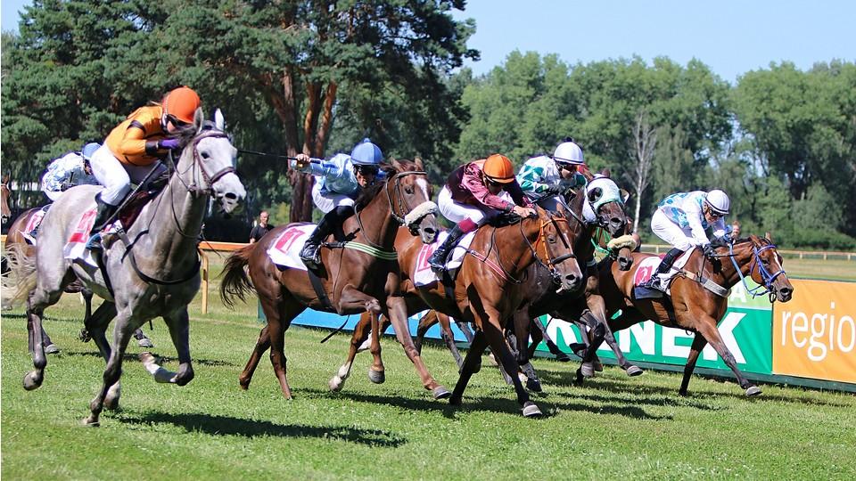 Equinews: Kratochvíl čaroval v Lysé, klusáckou Chuchli ovládli Němci
