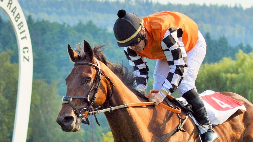Malá klisna s velkým srdcem. Zariyannka vyhrála Oaks a míří do derby