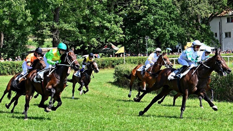 Živě: Dostihy se vracejí na jih Čech, sledujte Velkou cenu Netolic