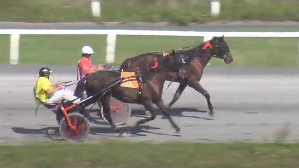 Pamino kráčí ke klusáckému derby. V posledním trialu nepřipustil drama