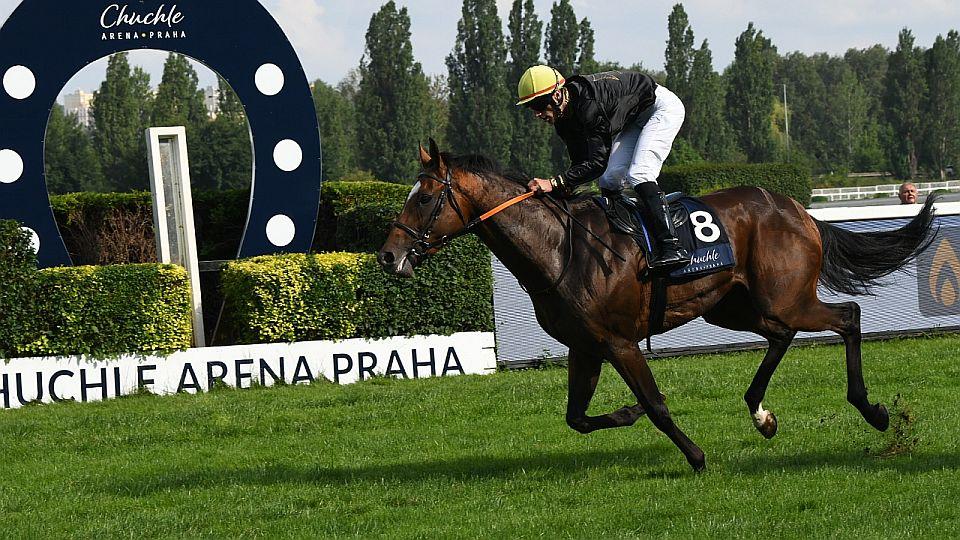 Equinews: Chuchle viděla předzkoušky derby, netolická tradice žije dál