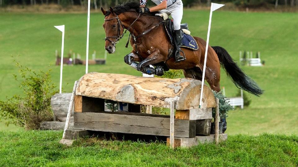 ŽIVĚ: CCI3* a oblastní mistrovství ve všestrannosti Borová 2020