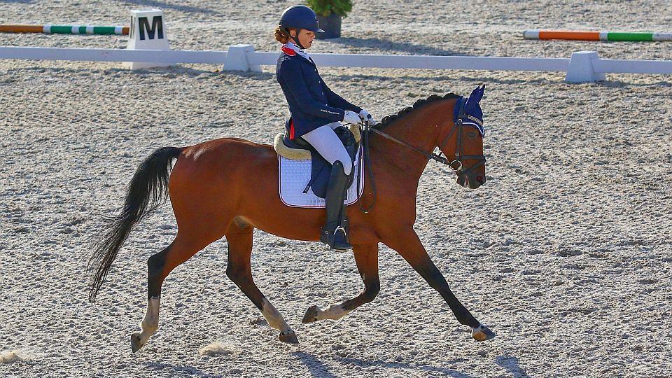 Finále drezurního poháru ČJF Královice: Masters vede Johana Vášáryová