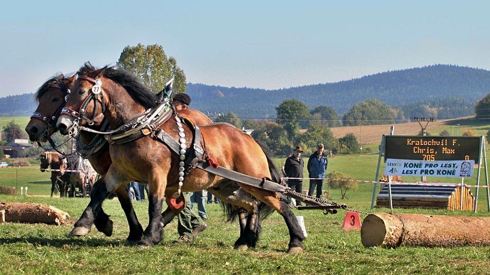 MČR chladnokrevných koní zrušeno. TZ Tlumačov zvažoval jiný termín