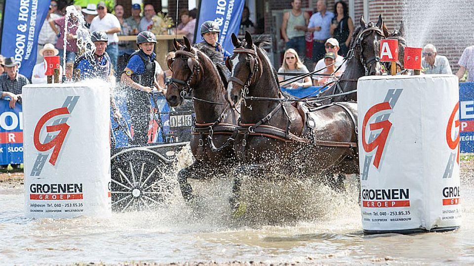 Mistrovství světa čtyřspřeží 2020 neproběhne. Pořadatelé jsou zklamaní