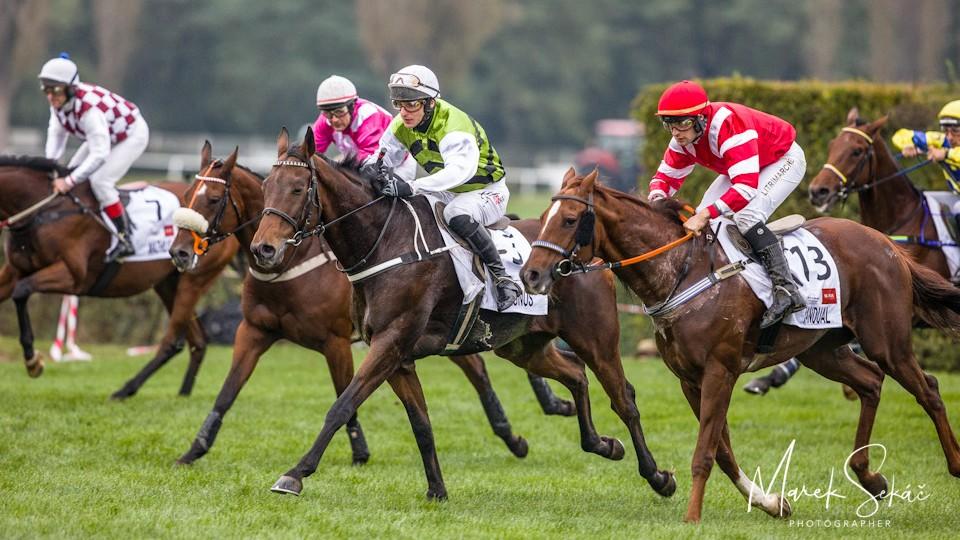 Valašská radost! Hegnus prolomil smůlu a získal Velkou pardubickou