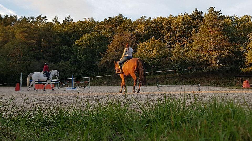 Nejasnosti kolem jezdeckých škol. Kdo smí na venkovní sportoviště?