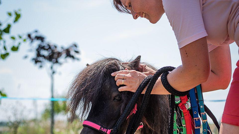 Ne každý kůň se vejde do tabulek, říká Radka Rydlová z Rainbow Ride