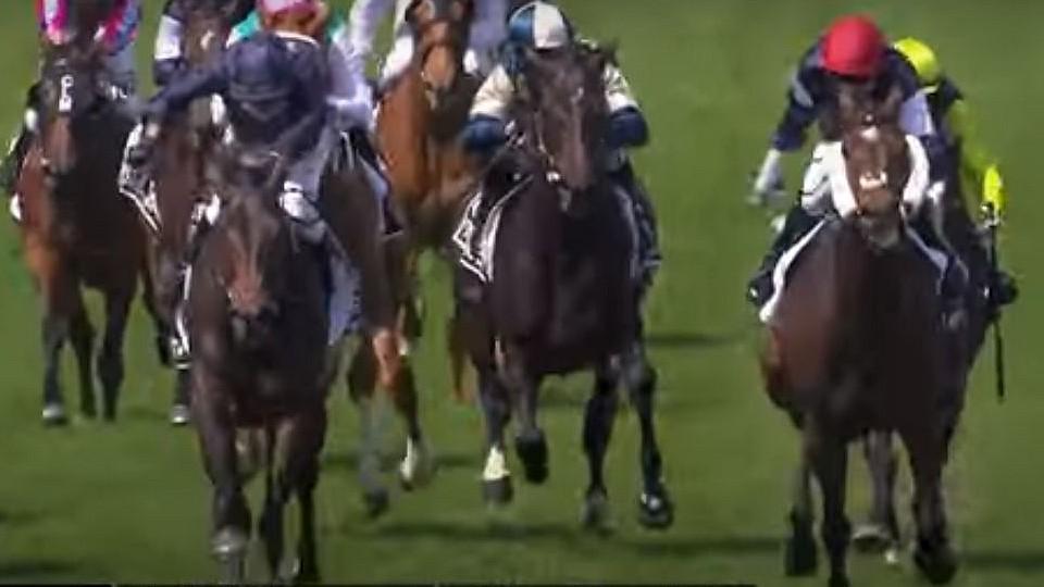 Melbourne Cup opět získala Evropa. Irský veterán vyhrál start - cíl