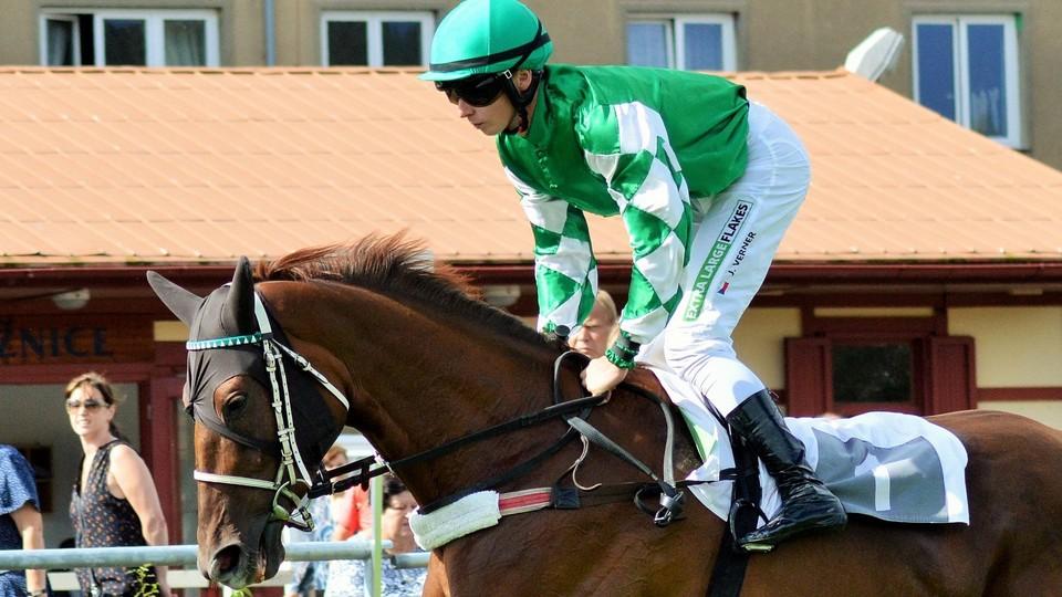 Wellunca čtvrtá v maďarském St. Legeru, Bartoš slavil vítězný comeback