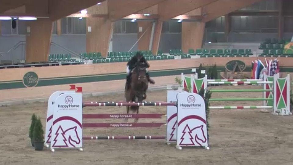 Vladimír Tretera s Gangsterem skončil druhý v Grand Prix Magna Racino