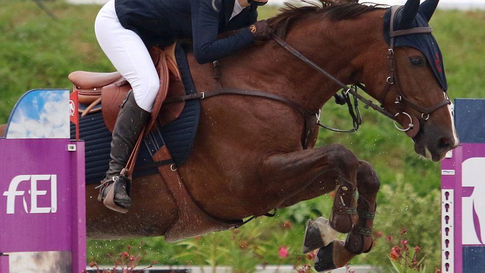 Úpravy pravidel FEI od roku 2021: zadní kamaše, ostruhy s ozuby a jiné