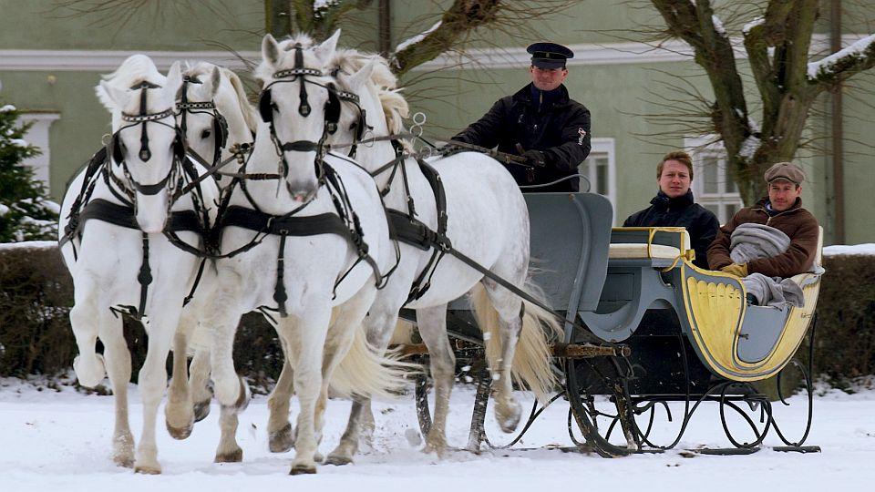 Zasněžený Národní hřebčín v Kladrubech a Slatiňanech. Došlo i na saně