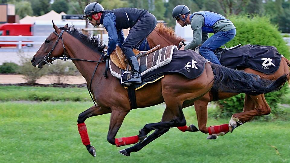 Zariyannka v Rijádu? Cesta do neznáma i životní šance, říká Koplík