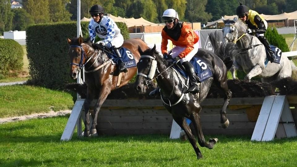 Uhynul Capferret. Někdejší vítěz z Auteuil se zranil v boxe