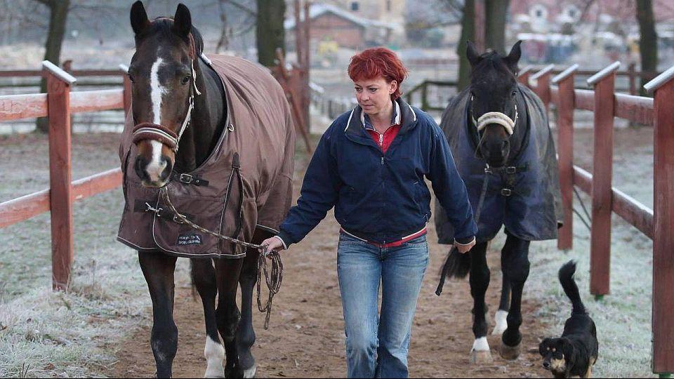 Heyrovská: Chovné kobyly si hlídám a jsem u porodu všech svých hříbat