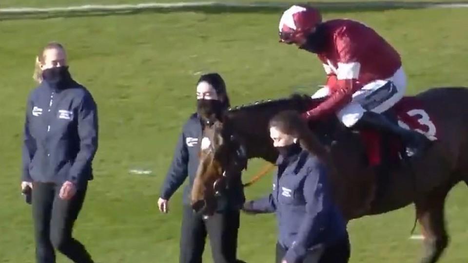 Legenda všech legend. Tiger Roll nestárne, popáté okouzlil Cheltenham