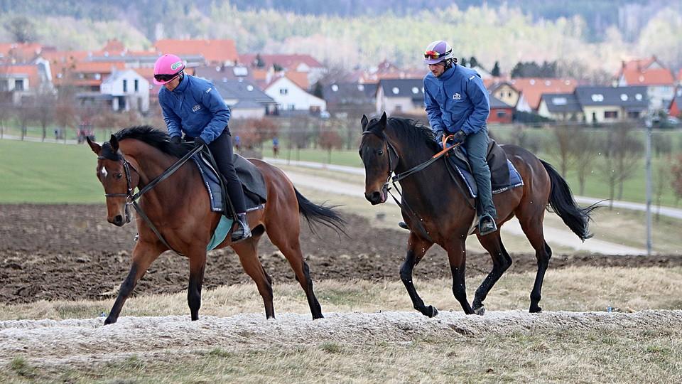 Azov při debutu v listed sedmý, Soumillon měl obavu ze zranění