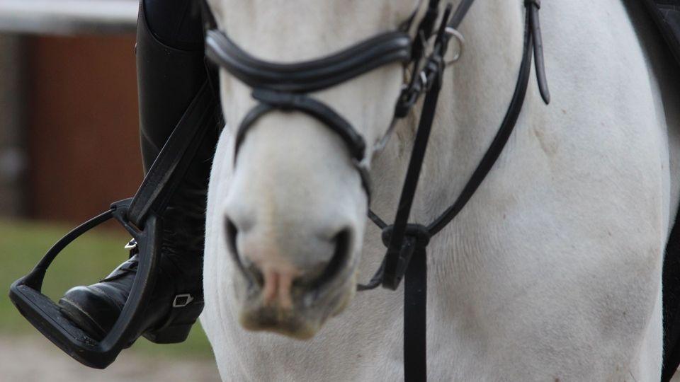 Testovali jsme třmeny od Decathlonu. Jejich vývoj trval přes tři roky