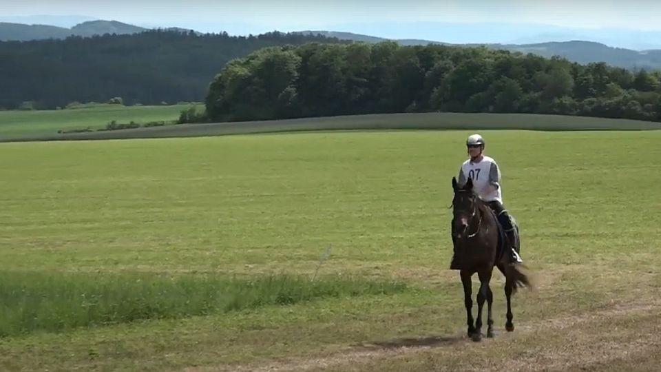 Mezinárodních akcí FEI v ČR ubylo. CEI Budislavice v novém termínu