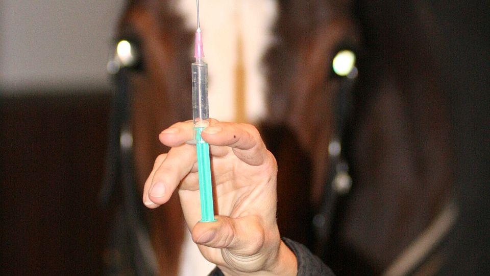 Neexistují účinné vakcíny proti neurologické formě EHV-1, uvedla FEI
