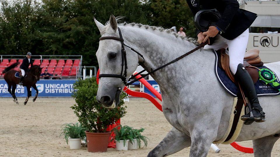 Sportovní soutěže mohou od 12. dubna dál probíhat jen s povolením MZČR